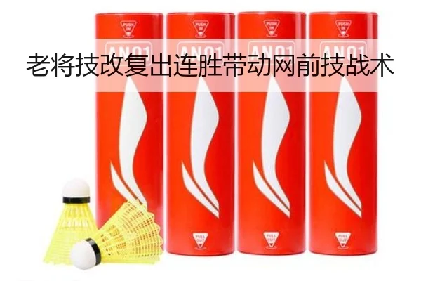 老将技改复出连胜带动网前技战术